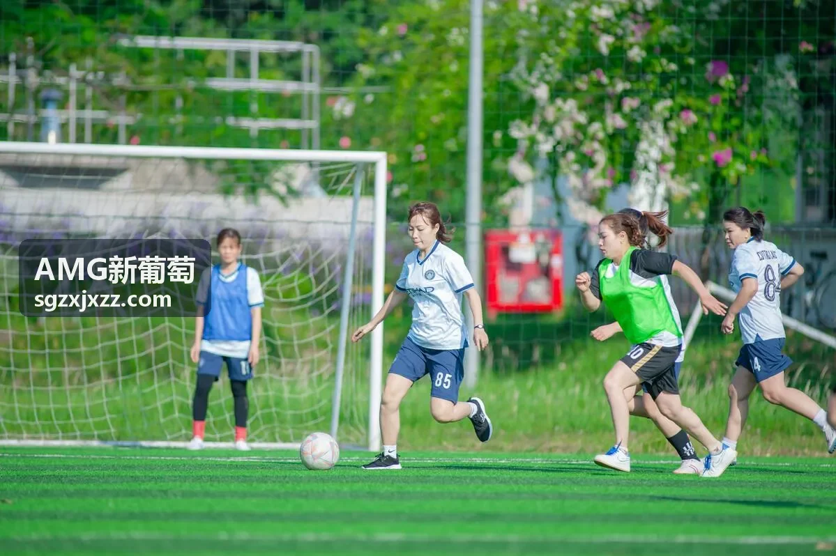AMG新葡萄鲜活模块