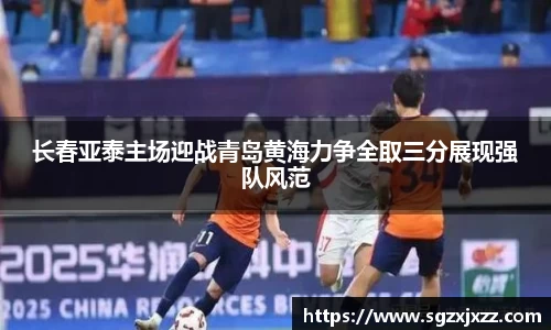 乐竟体育官网