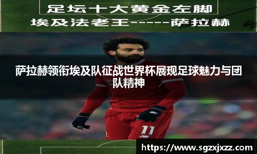 乐竟体育官网